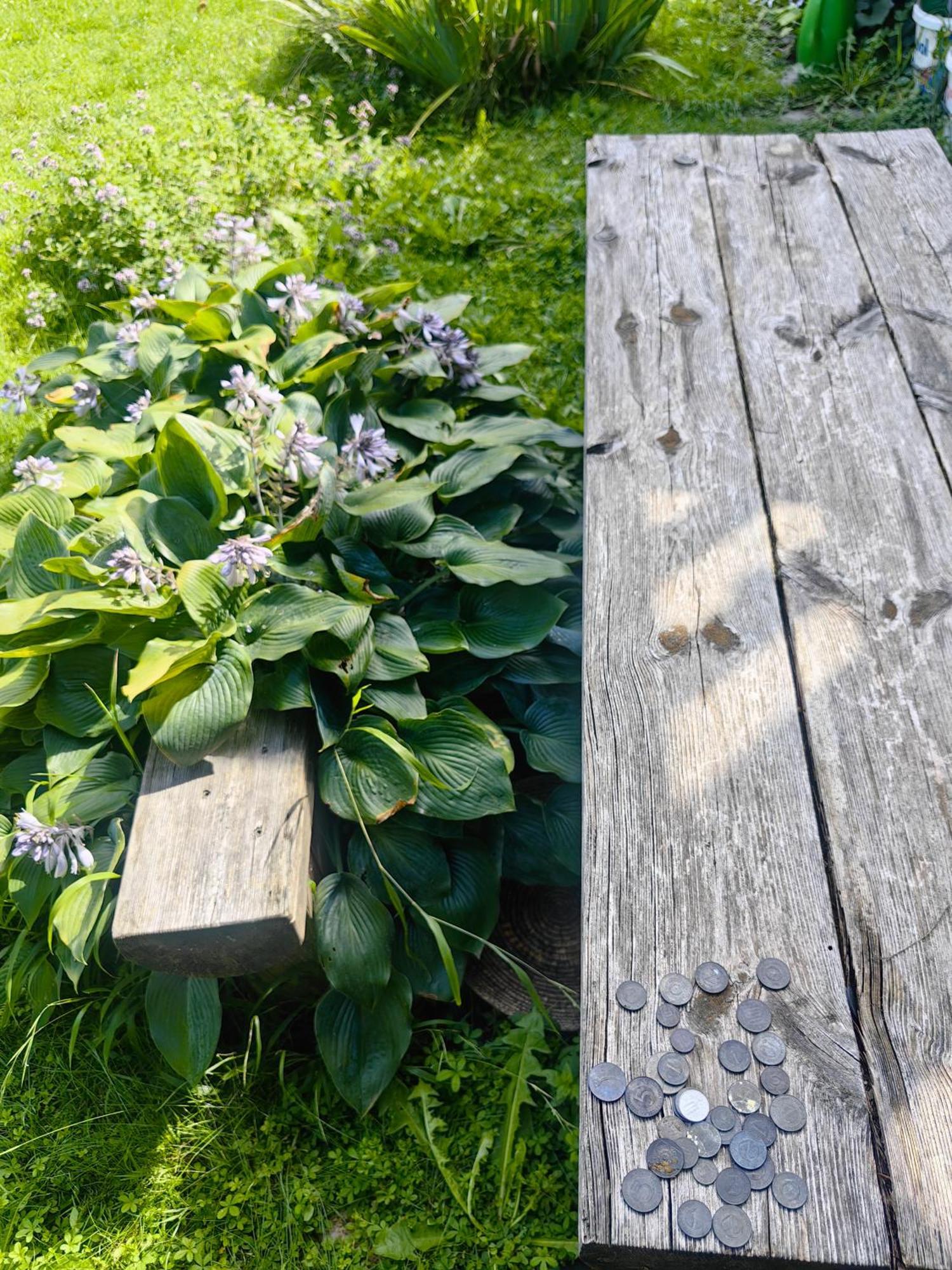 Hisa Hortenzija Luce Luče Exterior foto
