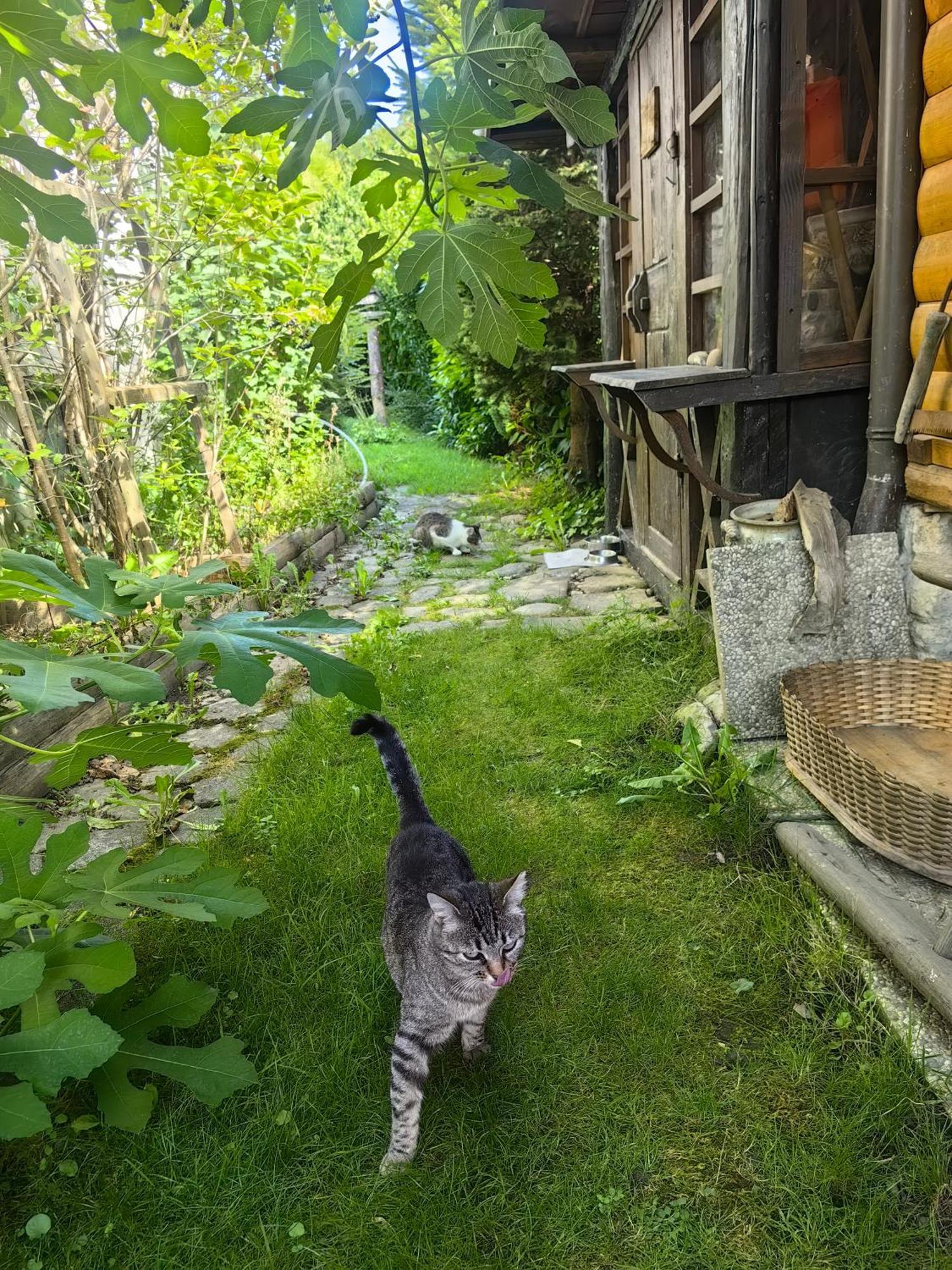 Hisa Hortenzija Luce Luče Exterior foto