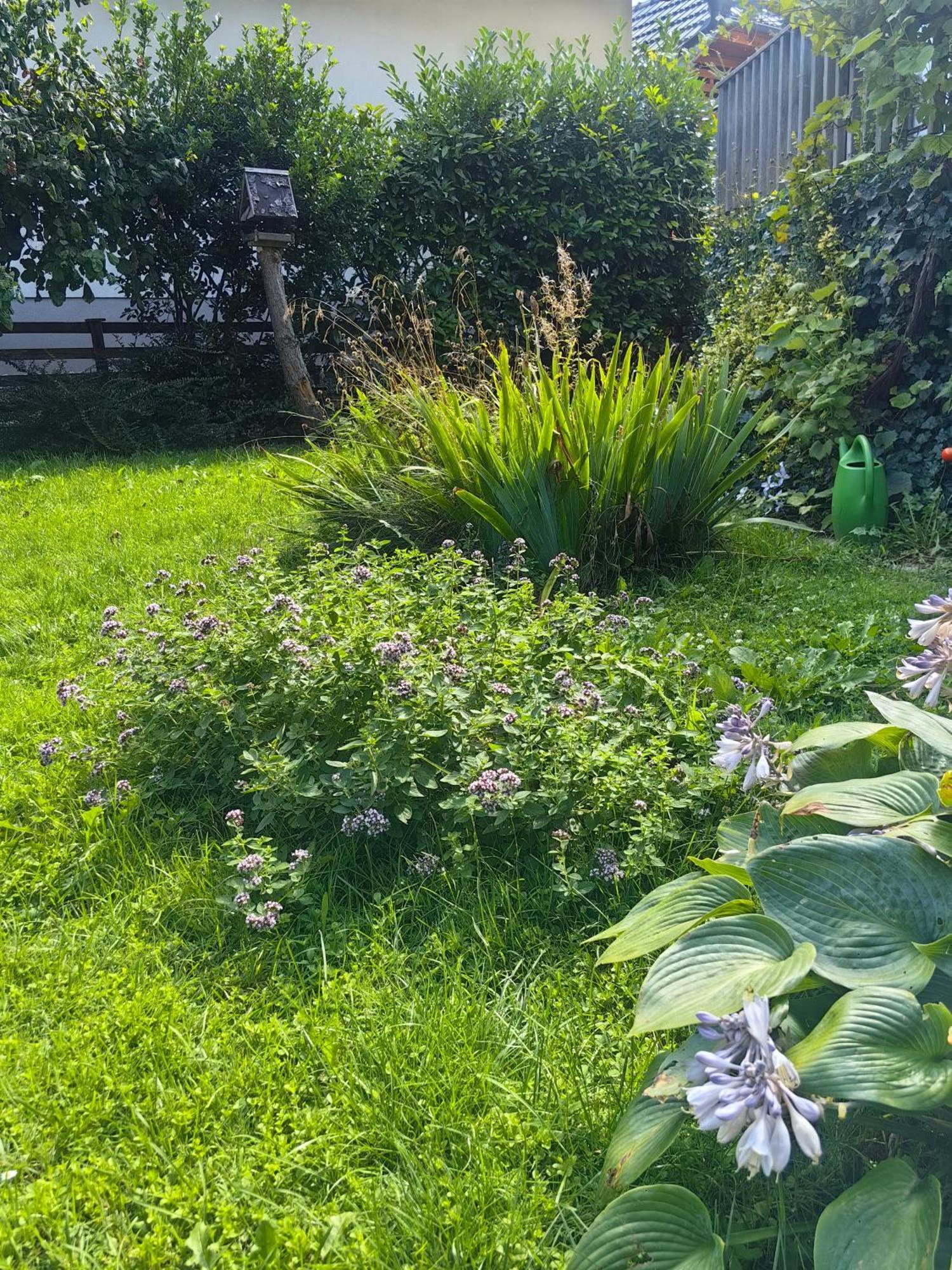 Hisa Hortenzija Luce Luče Exterior foto