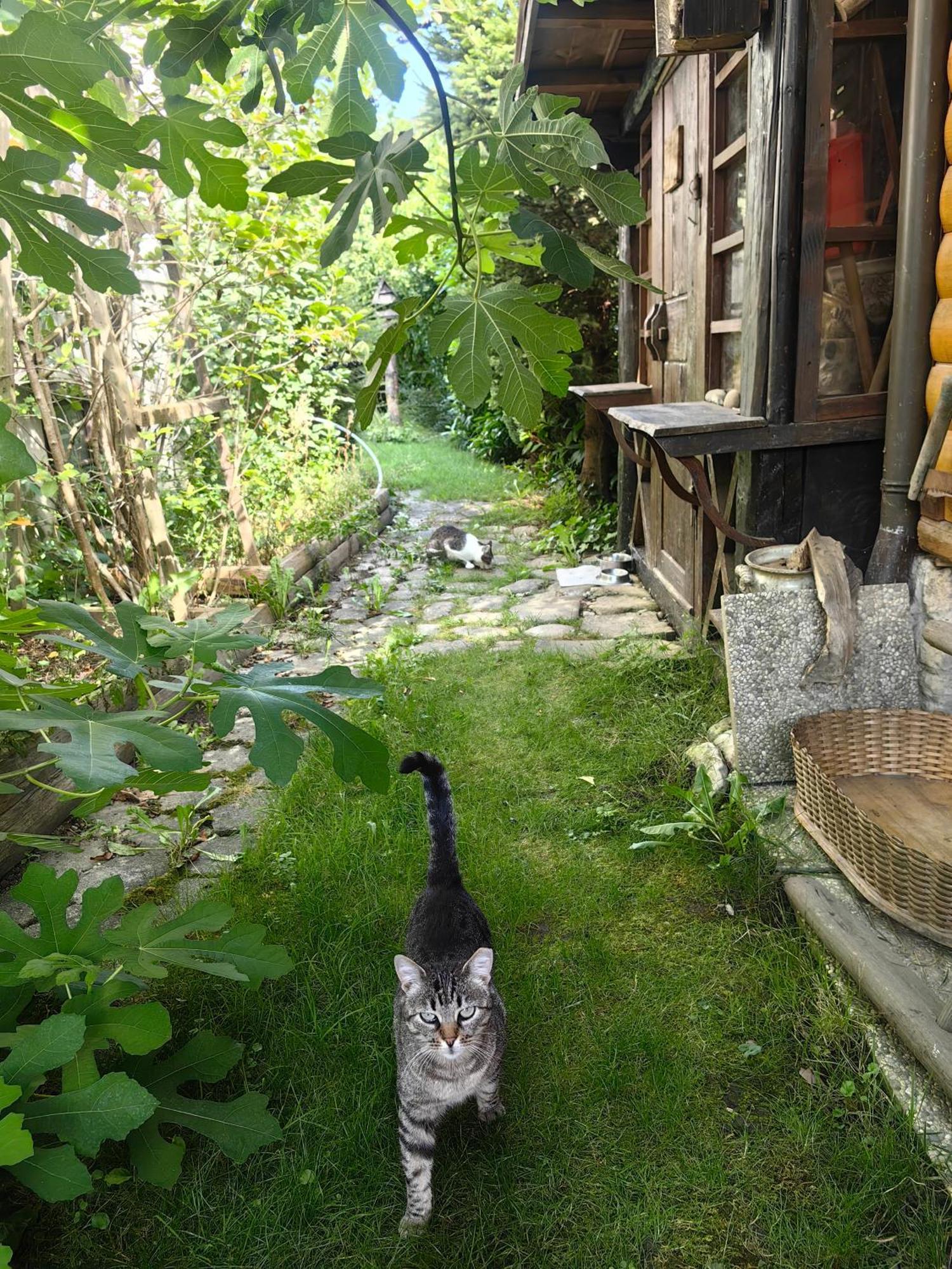 Hisa Hortenzija Luce Luče Exterior foto